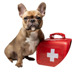 Emergency Transport Service
