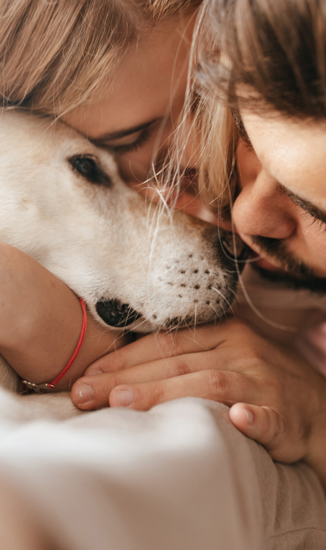 UrgentAtHomeEuthanasiaServicewithin24hours