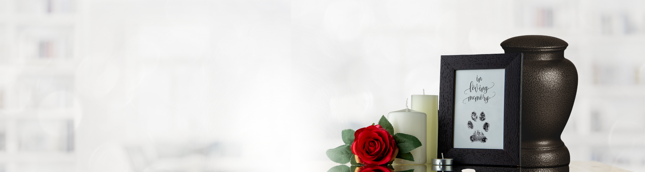 Website banner slide