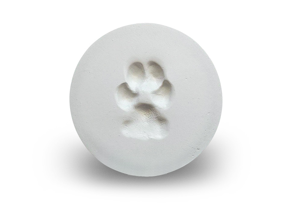 Clay Paw Print
