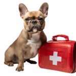 Emergency pet ambulance and pet medical transport Las Vegas