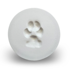 Clay Paw Print