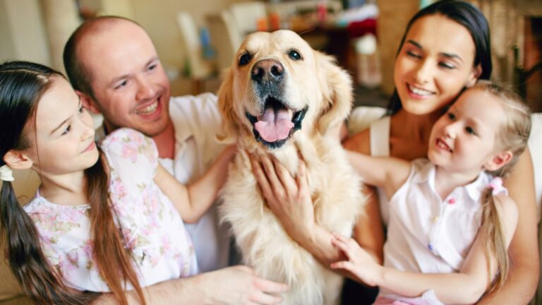 Dog Sharing and Shared Custody Options for Busy Pet Owners