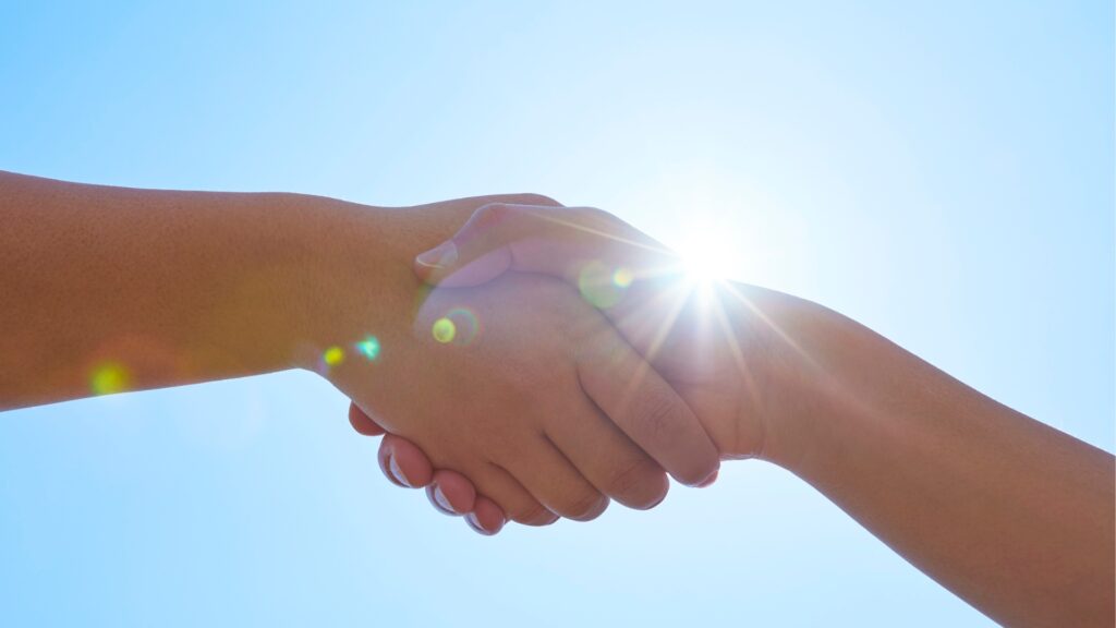 Dog Sharing and Shared Custody Options for Busy Pet Owners