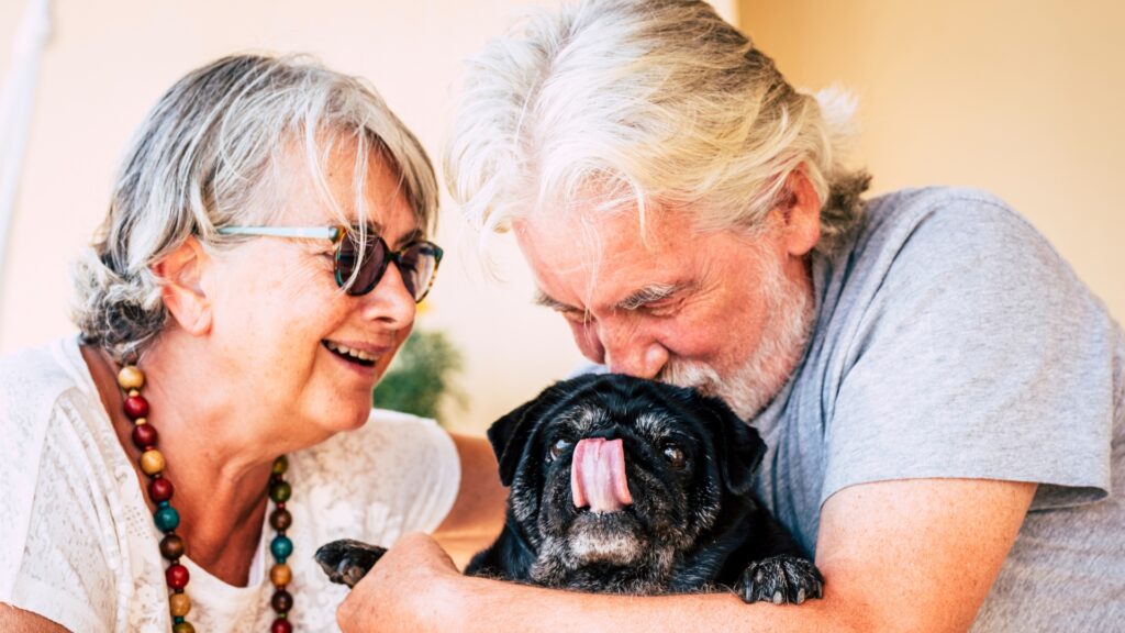 Hospice Care for Pets