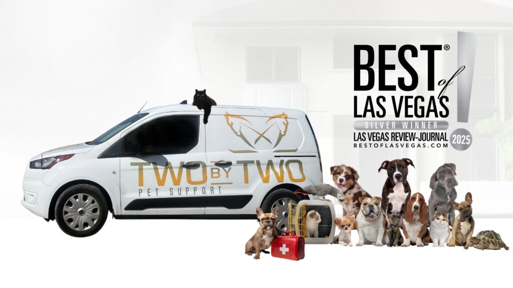 Two by Two Pet Support Wins Best of Las Vegas Silver