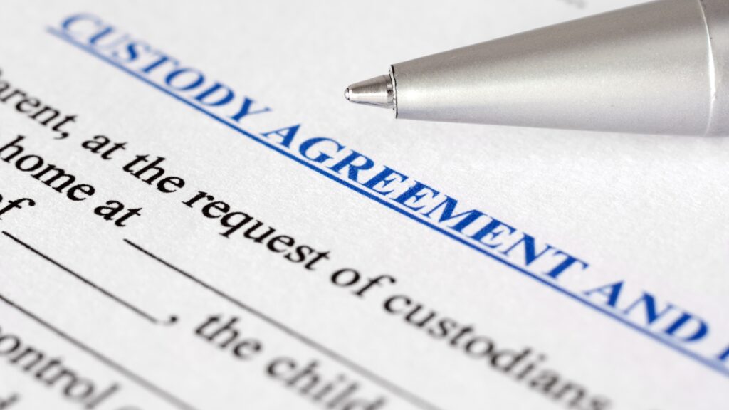 Dog Sharing and Shared Custody Options for Busy Pet Owners