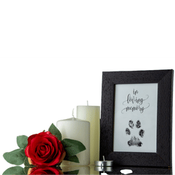 After-life care services