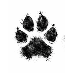 Digital Paw Print