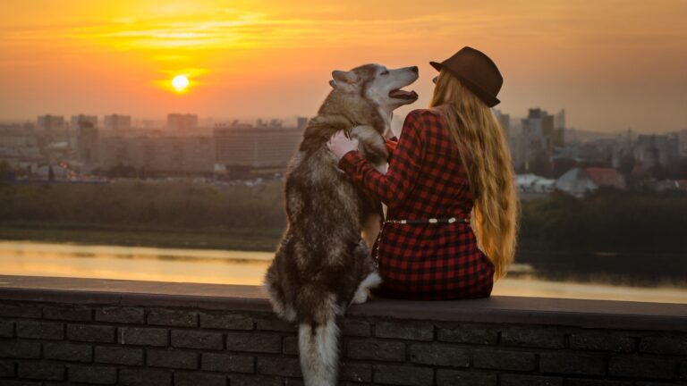 Helping Our Senior Dogs Stay Comfortable and Engaged as They Age