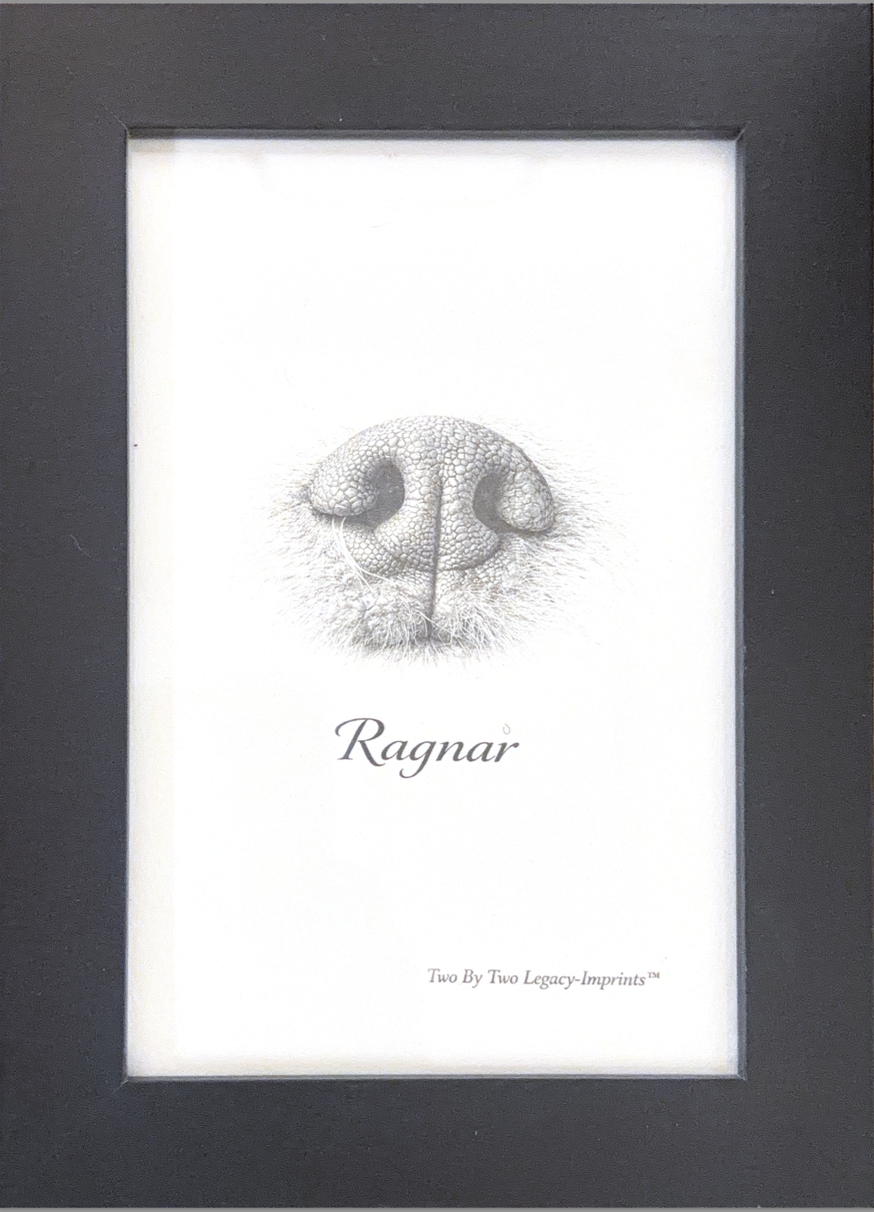Framed Nose Print