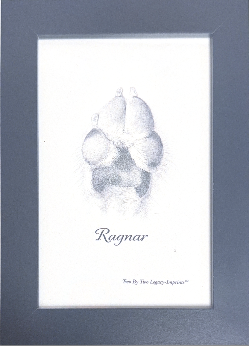 Framed Paw Print