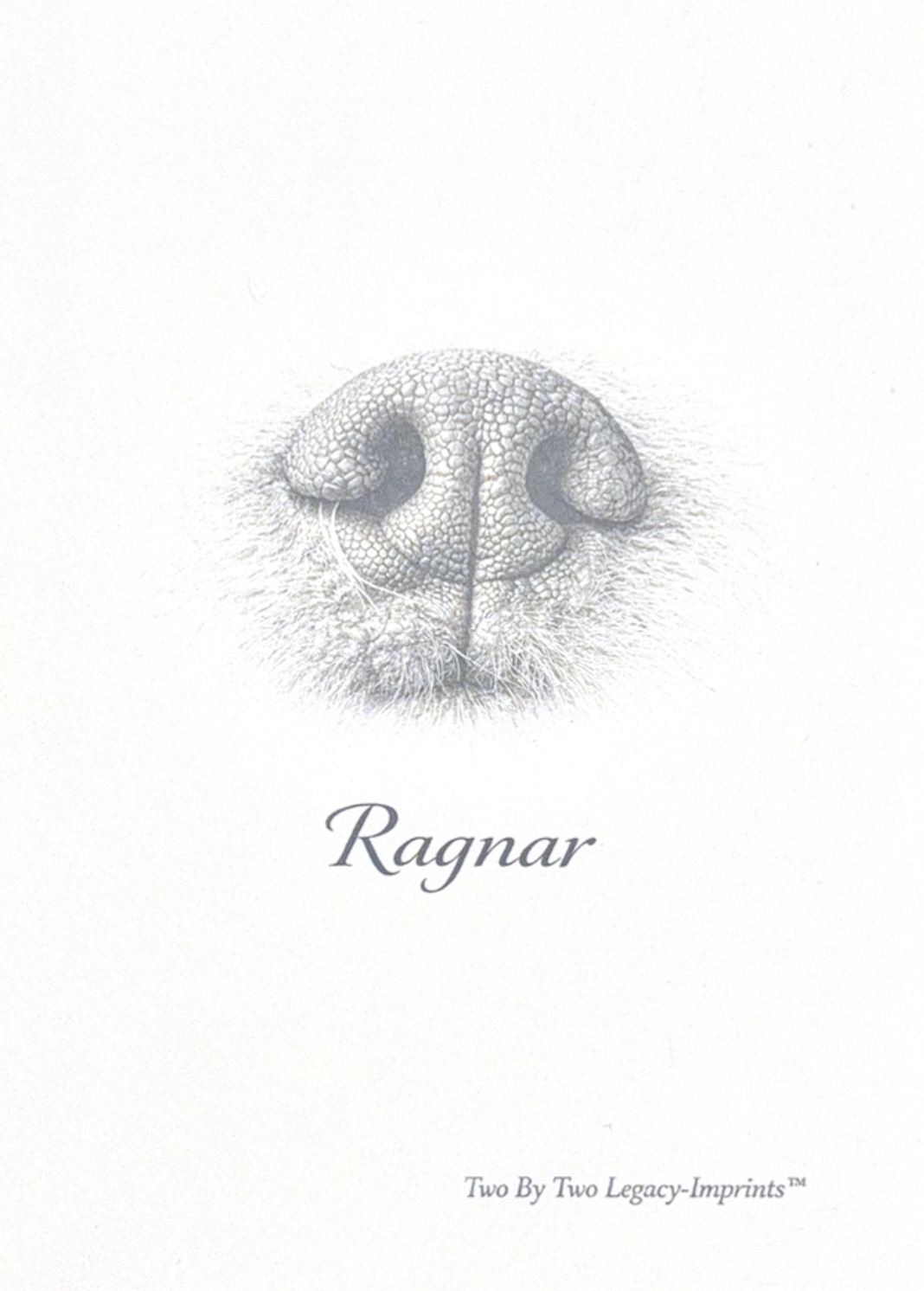 Digital Nose Print