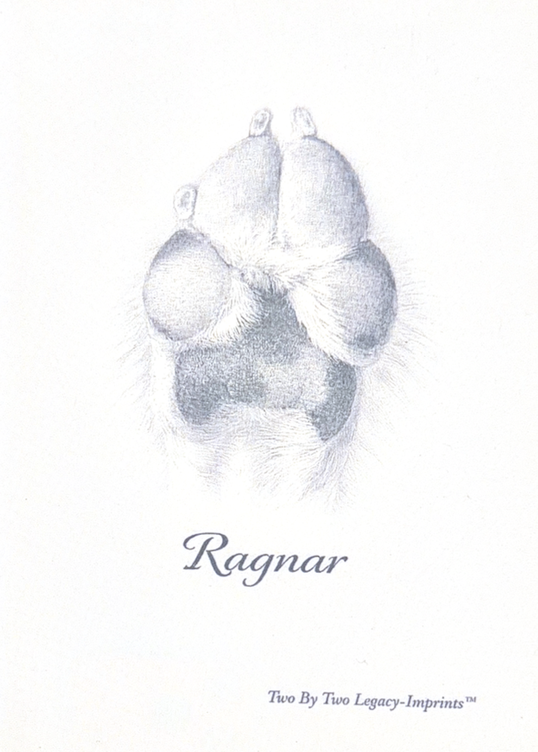 Digital Paw Print