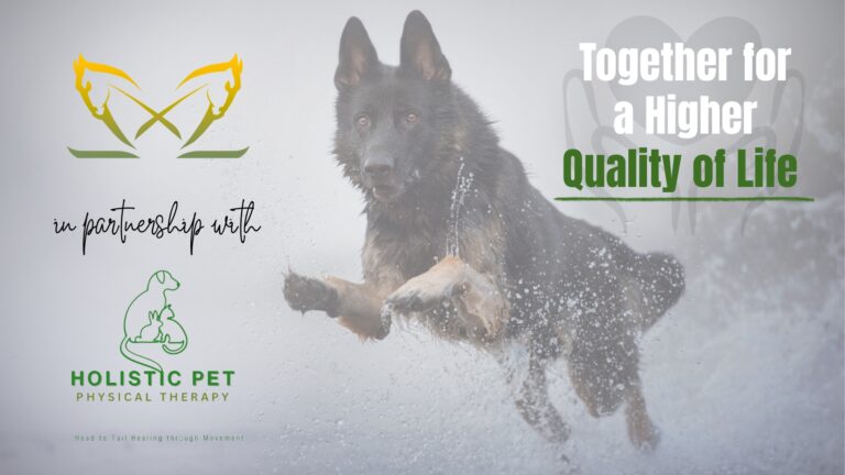 Supporting Quality of Life Through Holistic Rehabilitation: Our Partnership with Dr Jenelle