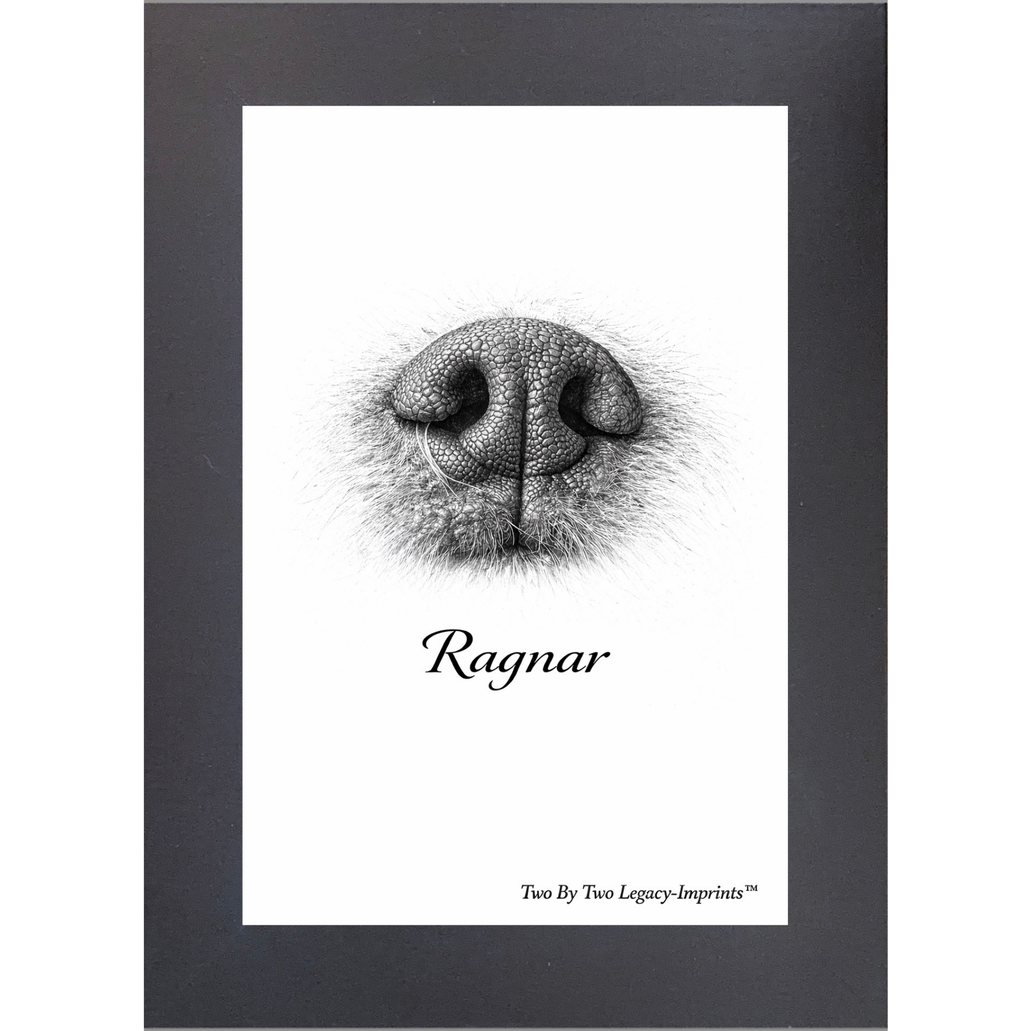 Framed Nose Print