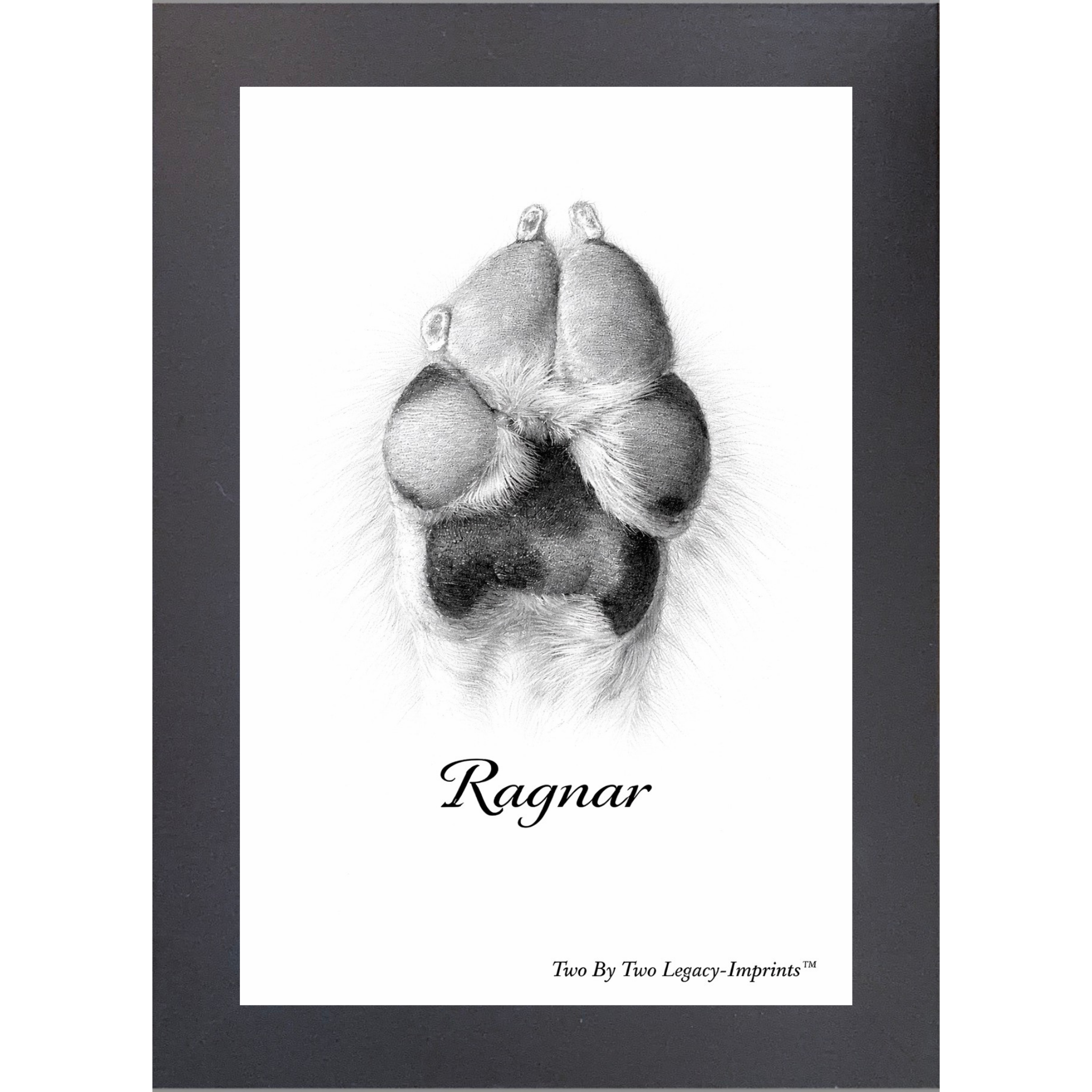 Framed Paw Print