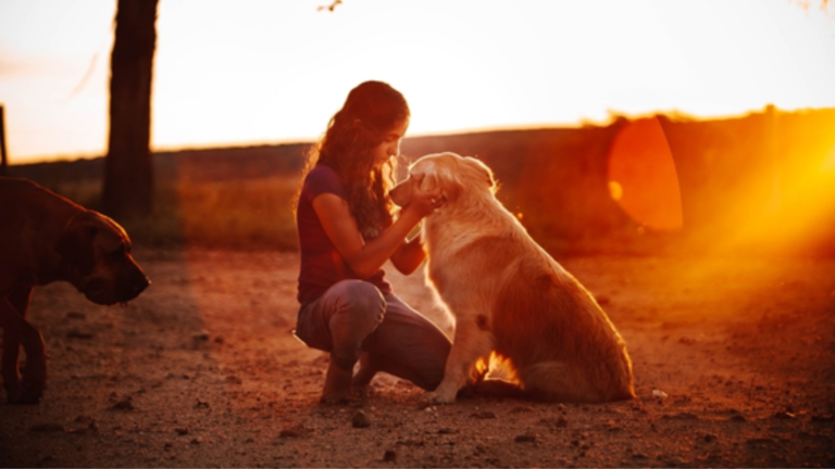 What We Learn from Pets in Their Final Days