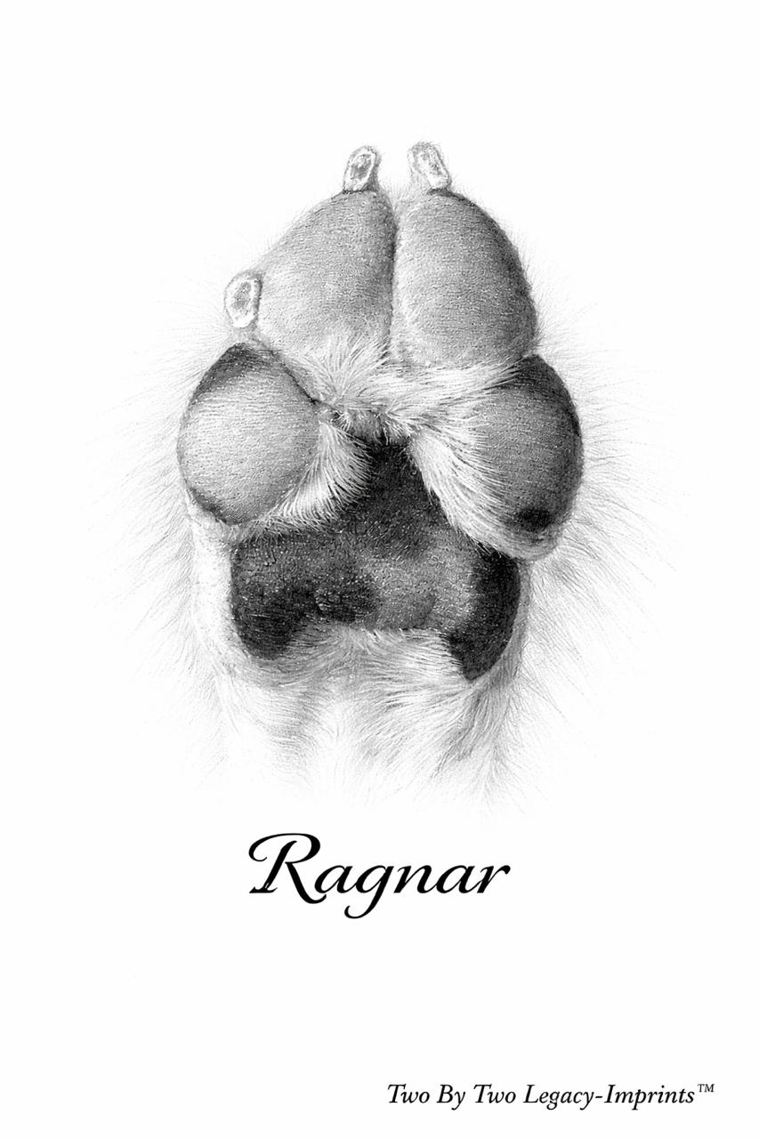 Digital Paw Print