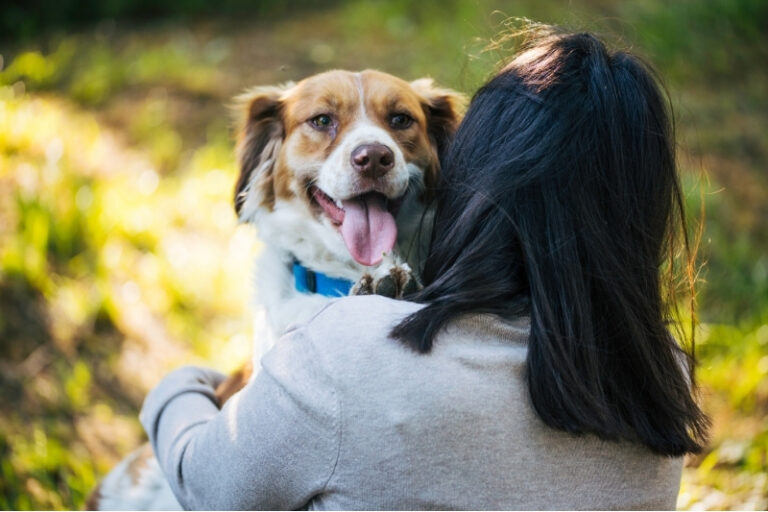 Before the Crisis: 7 Decisions Every Pet Owner Should Make While Their Pet Is Still Healthy