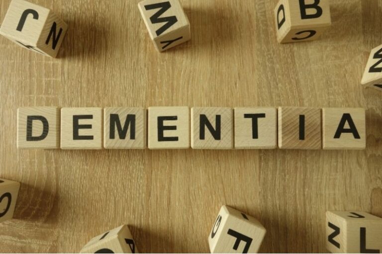 Pet Dementia Is Real: When Aging Changes More Than the Body